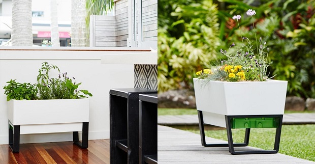 modern indoor planters
