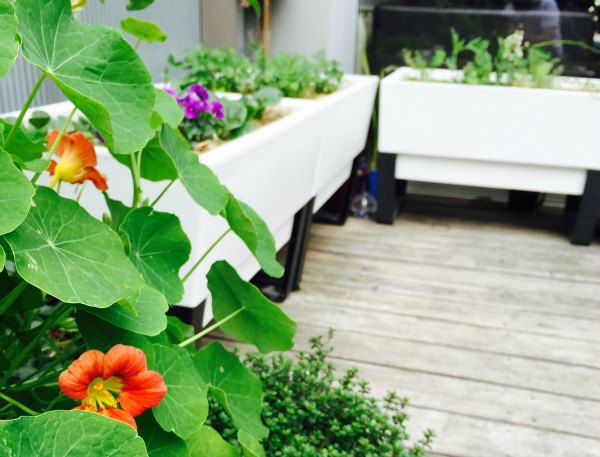 balcony-planters-1