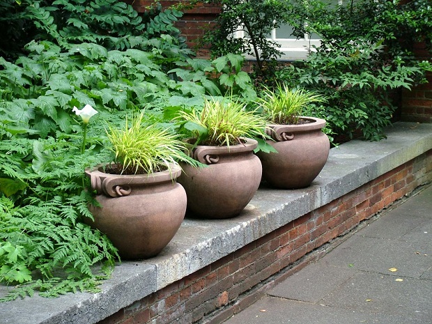 Invest in Your Health: Find the Right Garden Pots and Plant Your