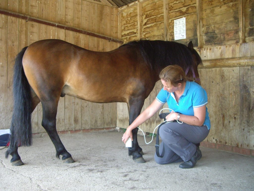 women with her horse