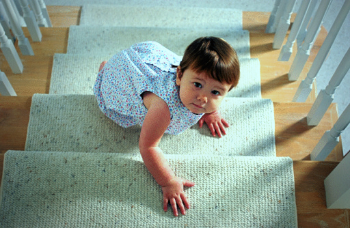 Melbourne Carpet Cleaning