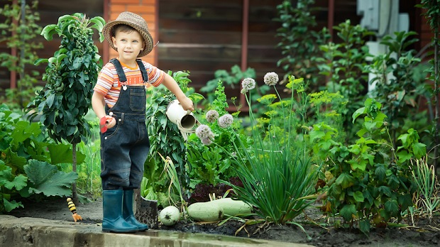 Kid Gardening