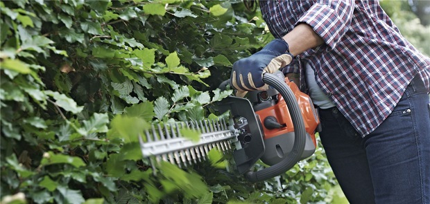 hedge trimmer