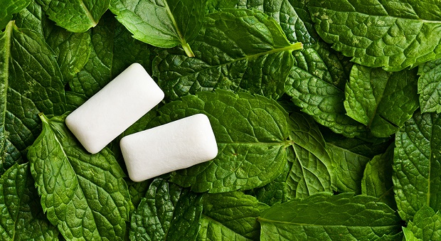 Xylitol gum mints