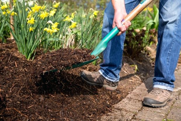 mulching services