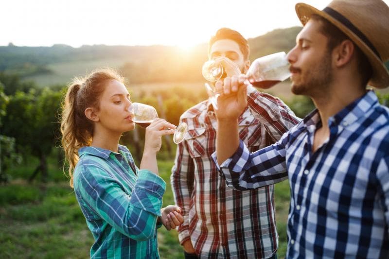 natural wine tasting