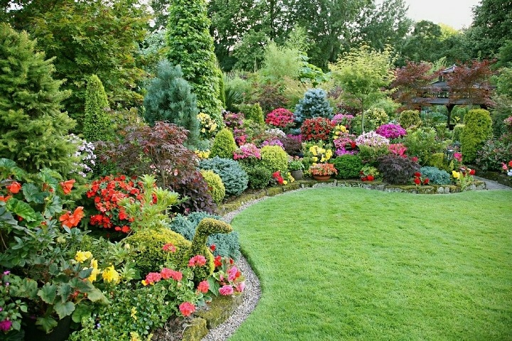 beautiful garden