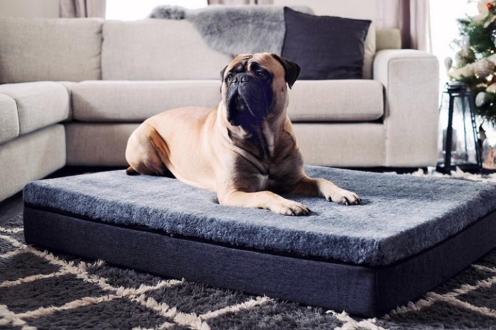 Dog-Bed-With-Memory-Foam-Support