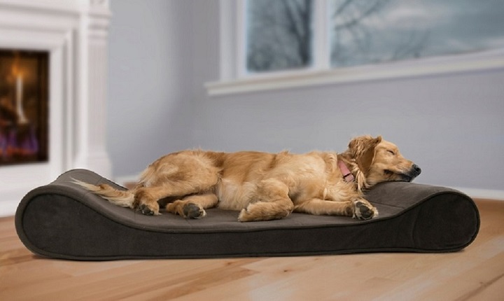 Orthopedic dog beds add extra support