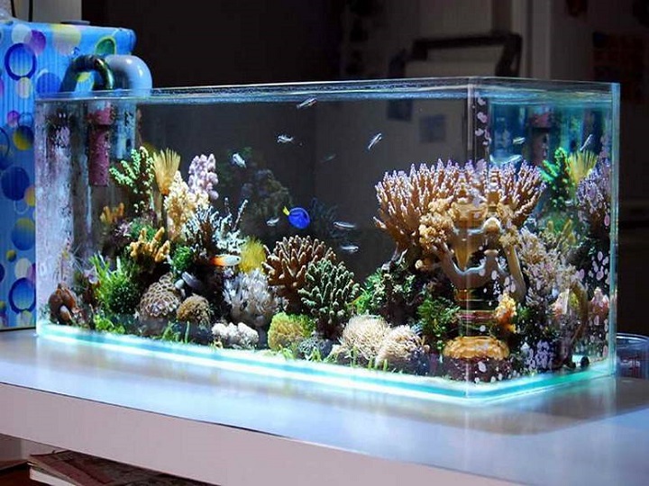 cool-fish-tank-decorations-aquarium with led lights