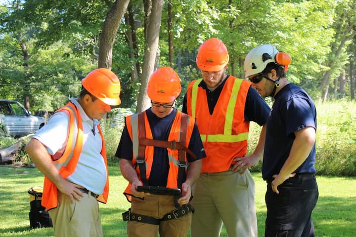 Professional Arborists Consulting Service