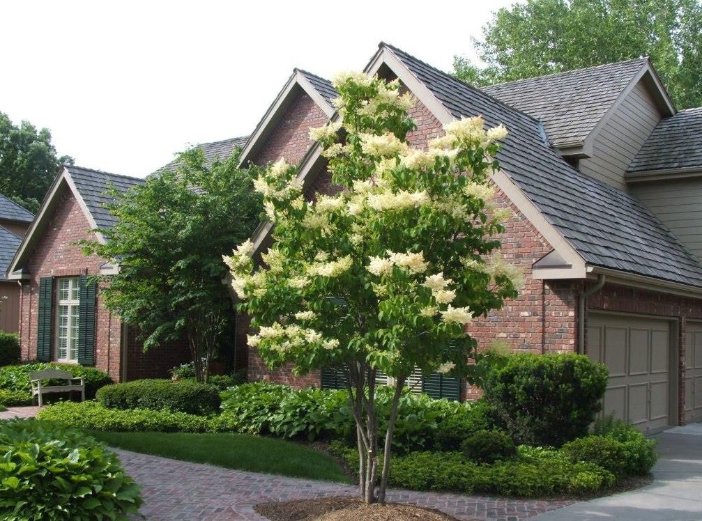 a beautiful house with yard filled with flowers, grass and trees