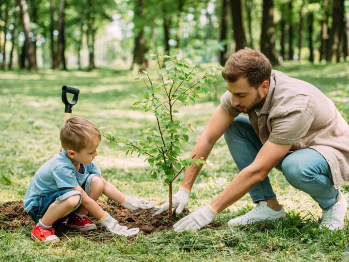 a father and a son planting a tree in nature