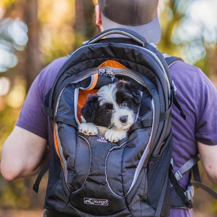 Kurgo G-Train Dog Carrier Backpack