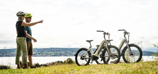 A man and a woman in nature with an electric bike