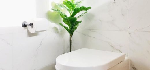 in-wall bathroom toilet