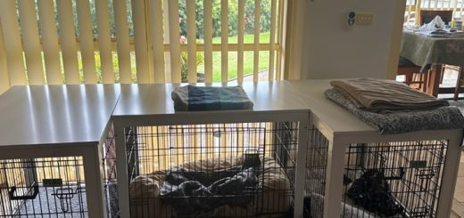Dog Bed For Cages