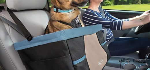 Kurgo Rover Booster Seat Black & Blue Liner - POG30-17774