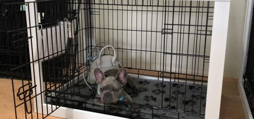 ProFleece 1200gsm Dry Vet Bed for VEBO Deluxe Outdoor Dog Kennel